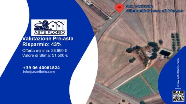 terreno agricolo in vendita a Caltagirone