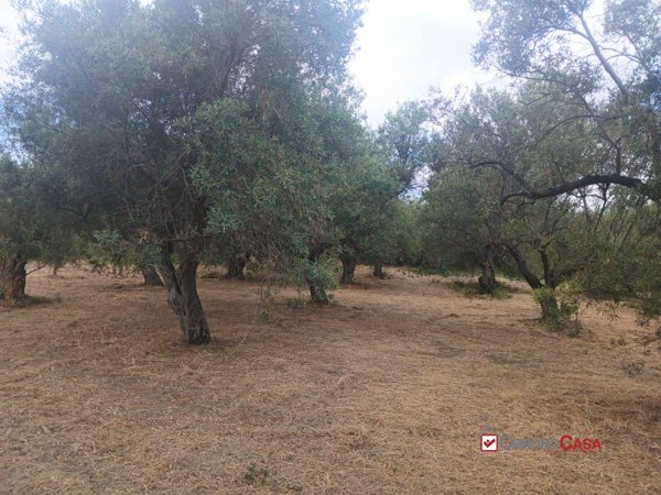 appartamento in vendita a Caltagirone