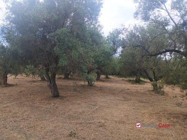 appartamento in vendita a Caltagirone