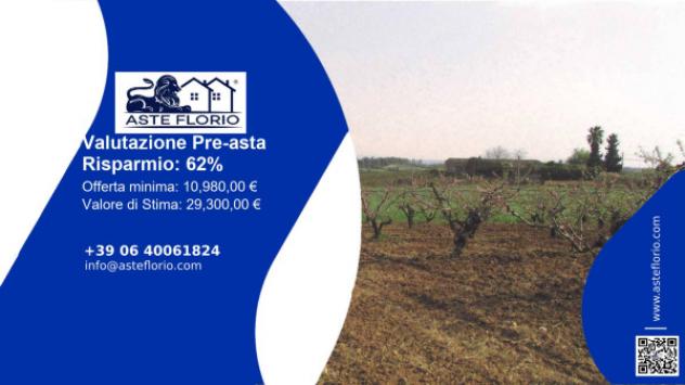 terreno agricolo in vendita a Caltagirone in zona Piano San Paolo