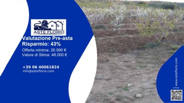 terreno agricolo in vendita a Caltagirone