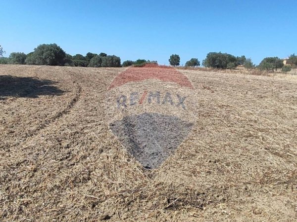 terreno agricolo in vendita a Caltagirone in zona Santo Pietro