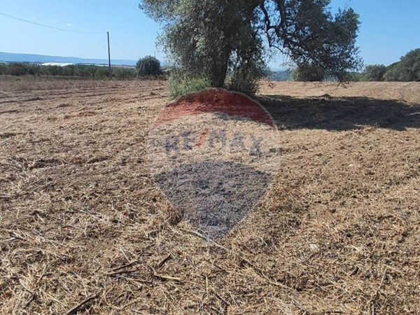 terreno agricolo in vendita a Caltagirone in zona Santo Pietro