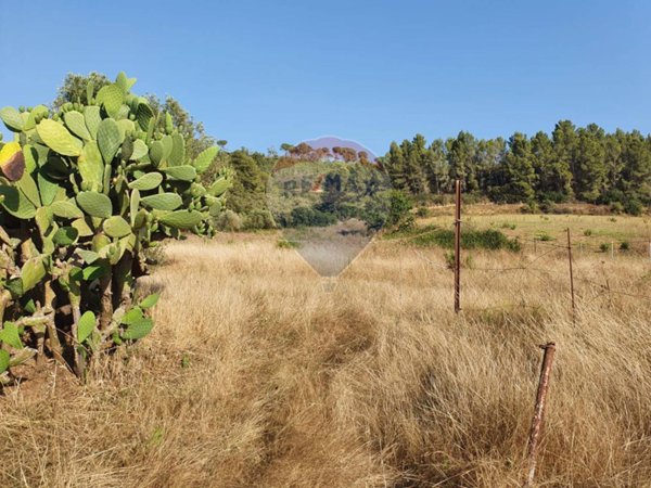 terreno agricolo in vendita a Caltagirone in zona Santo Pietro