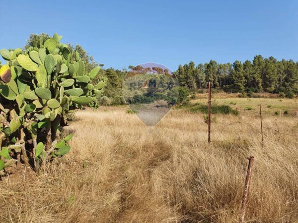 terreno agricolo in vendita a Caltagirone in zona Santo Pietro