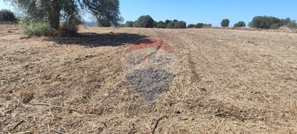 negozio in vendita a Caltagirone in zona Santo Pietro