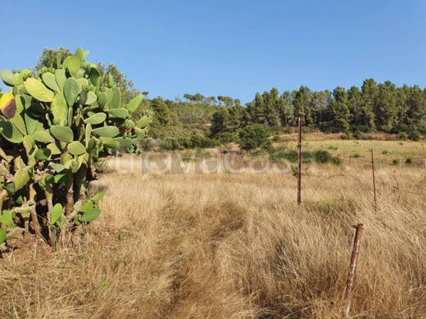 terreno agricolo in vendita a Caltagirone in zona Santo Pietro