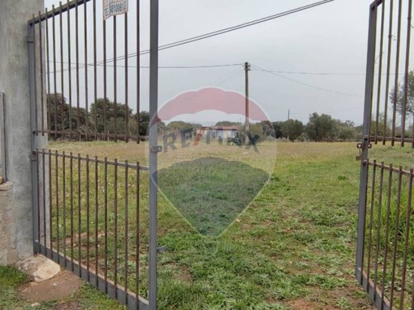 terreno agricolo in vendita a Caltagirone in zona Piano San Paolo