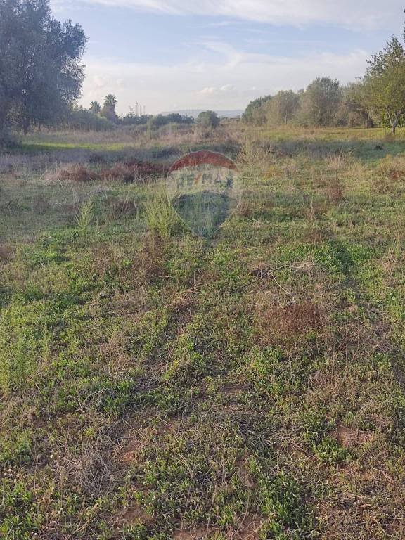 terreno agricolo in vendita a Caltagirone