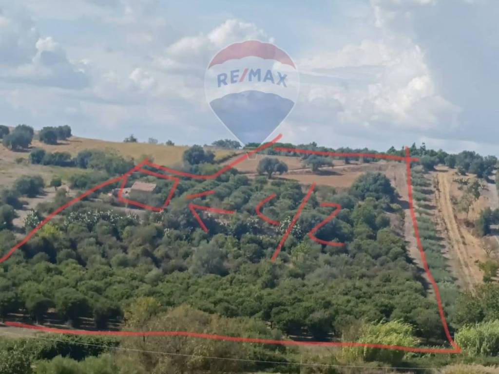 terreno agricolo in vendita a Caltagirone
