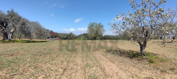 terreno agricolo in vendita a Caltagirone in zona Santo Pietro