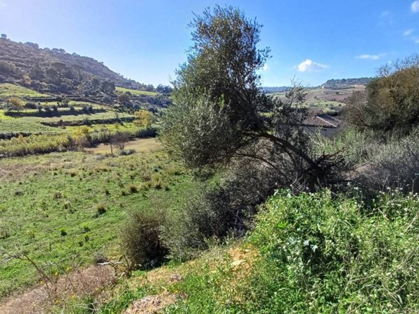 terreno agricolo in vendita a Caltagirone