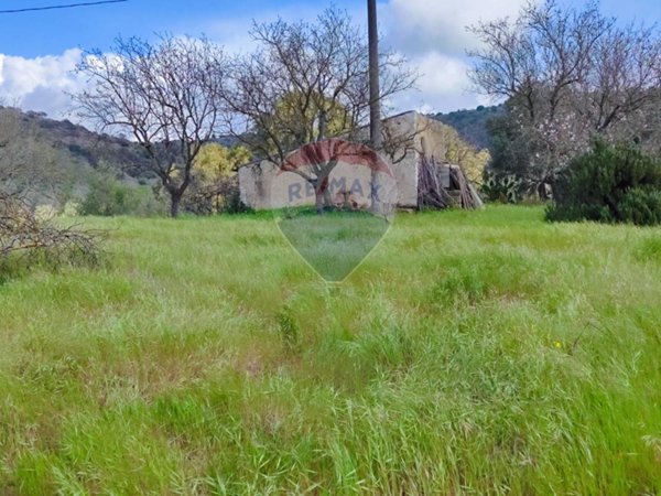 immagine annuncio 0 di 15