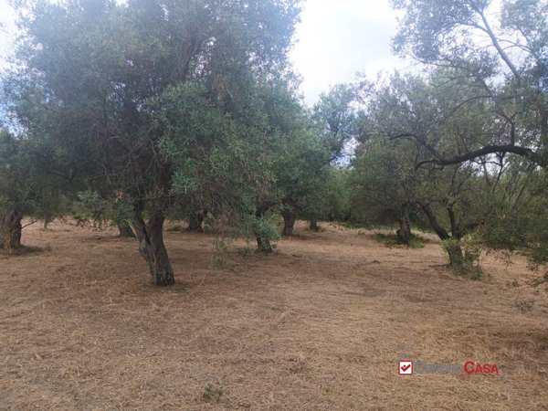 appartamento in vendita a Caltagirone