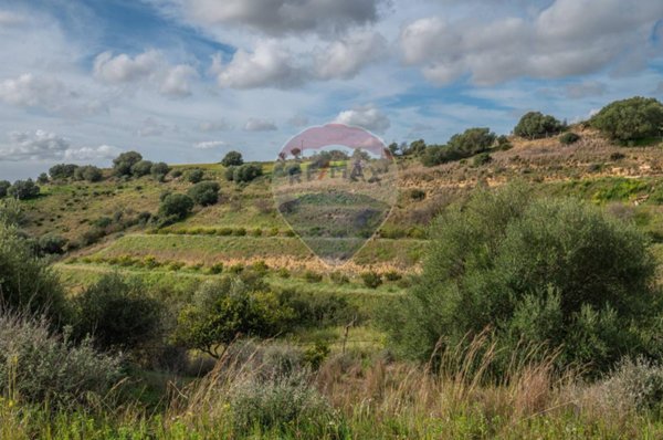 terreno agricolo in vendita a Caltagirone