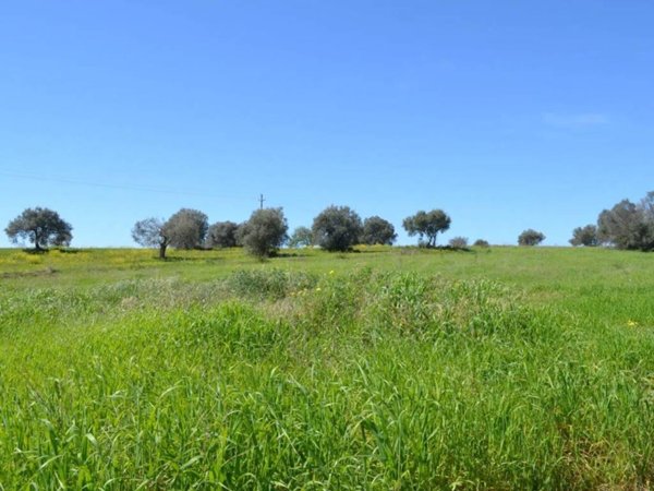 terreno agricolo in vendita a Caltagirone