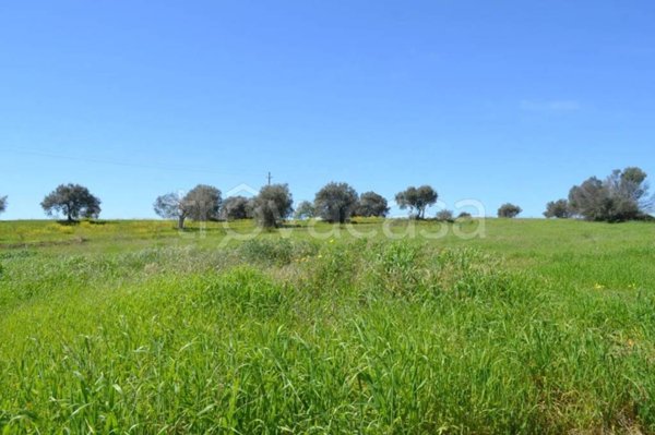terreno agricolo in vendita a Caltagirone