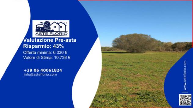 terreno agricolo in vendita a Caltagirone