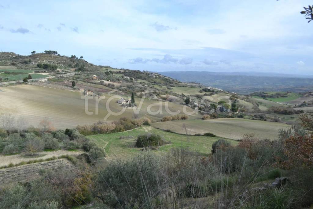 terreno agricolo in vendita a Caltagirone