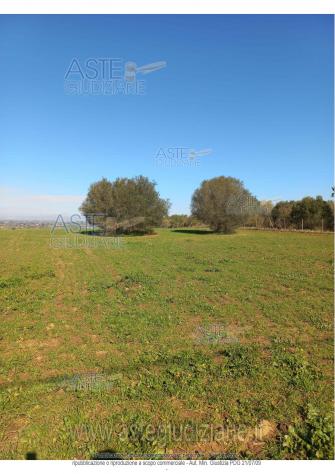terreno agricolo in vendita a Caltagirone