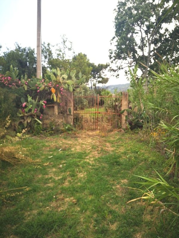 terreno agricolo in vendita a Caltagirone