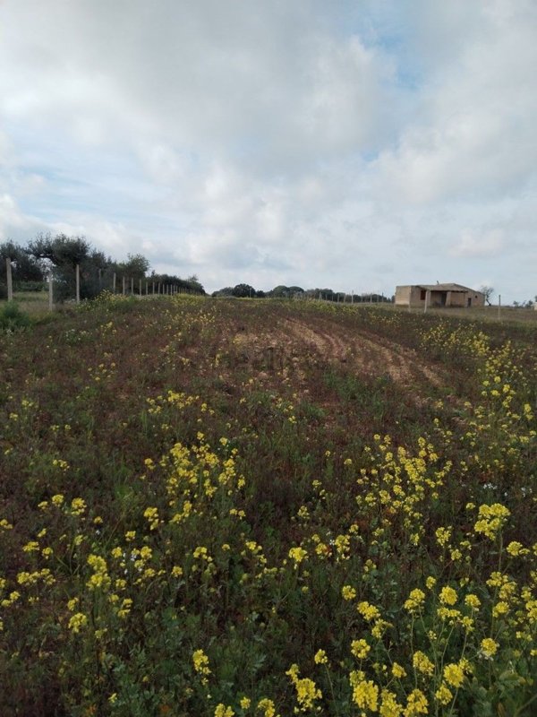 terreno agricolo in vendita a Caltagirone in zona Granieri