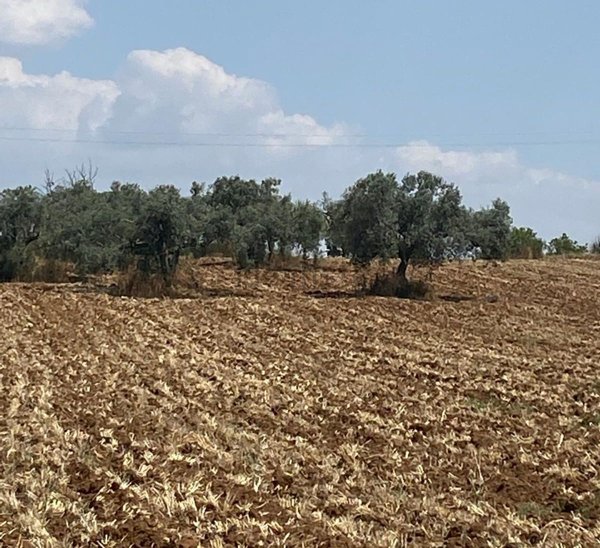 rudere in vendita a Caltagirone in zona Piano San Paolo