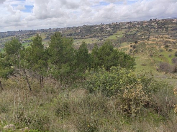 casa indipendente in vendita a Caltagirone