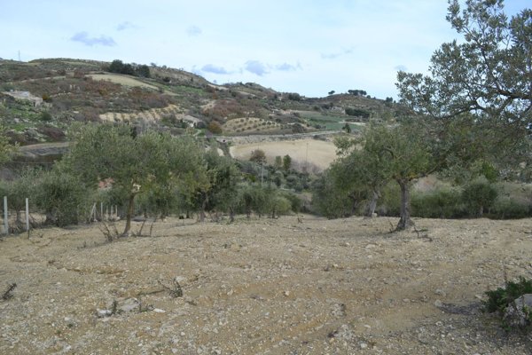 terreno agricolo in vendita a Caltagirone