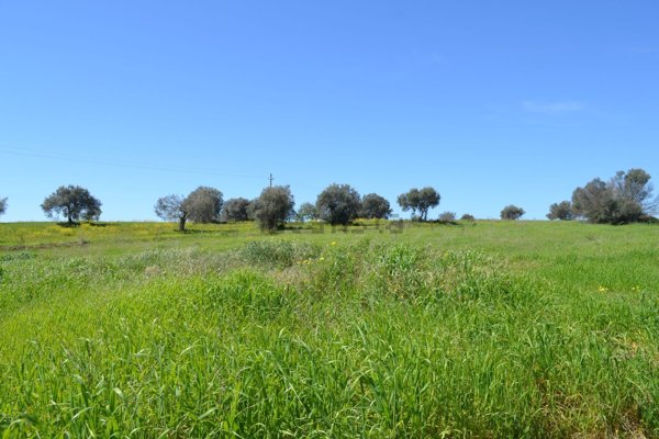 terreno edificabile in vendita a Caltagirone