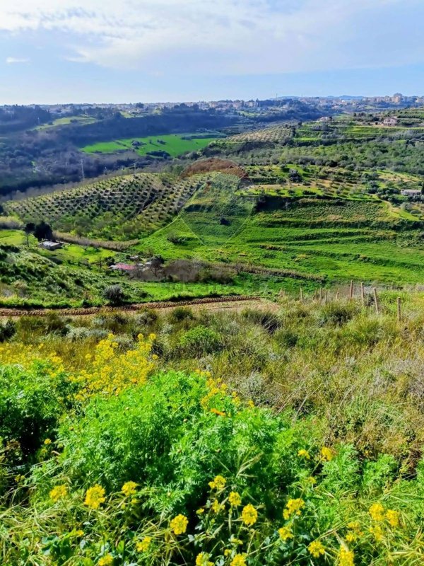 casa indipendente in vendita a Caltagirone