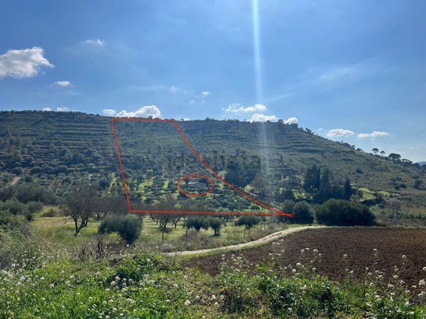 quadrivano in vendita a Caltagirone