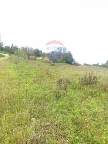 terreno agricolo in vendita a Caltagirone