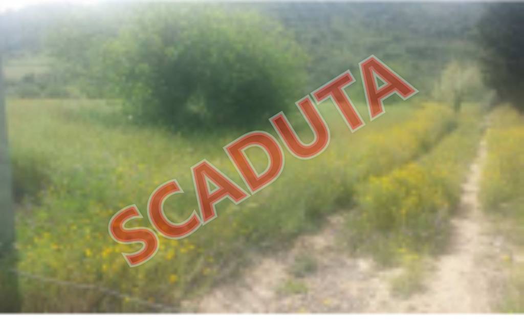 terreno edificabile in vendita a Caltagirone