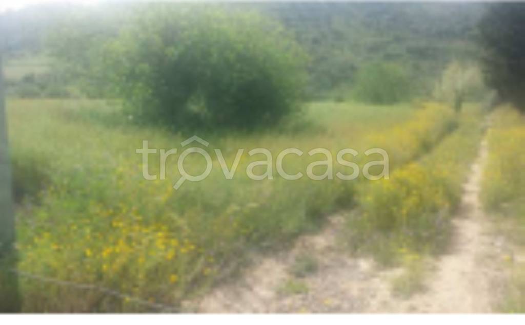 terreno agricolo in vendita a Caltagirone