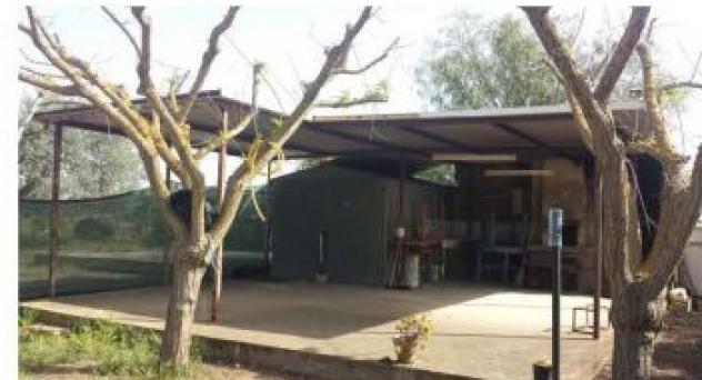 terreno agricolo in vendita a Caltagirone