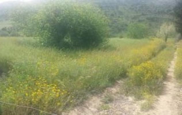 terreno edificabile in vendita a Caltagirone