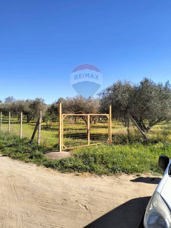 terreno agricolo in vendita a Caltagirone