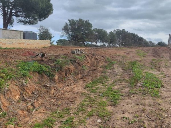 terreno agricolo in vendita a Caltagirone