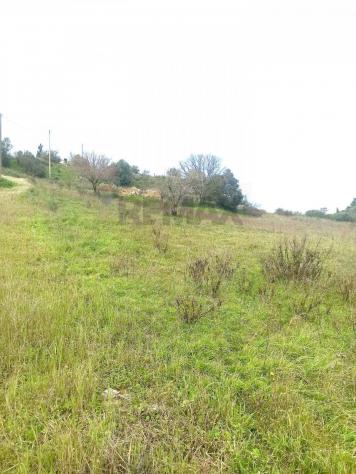 appartamento in vendita a Caltagirone