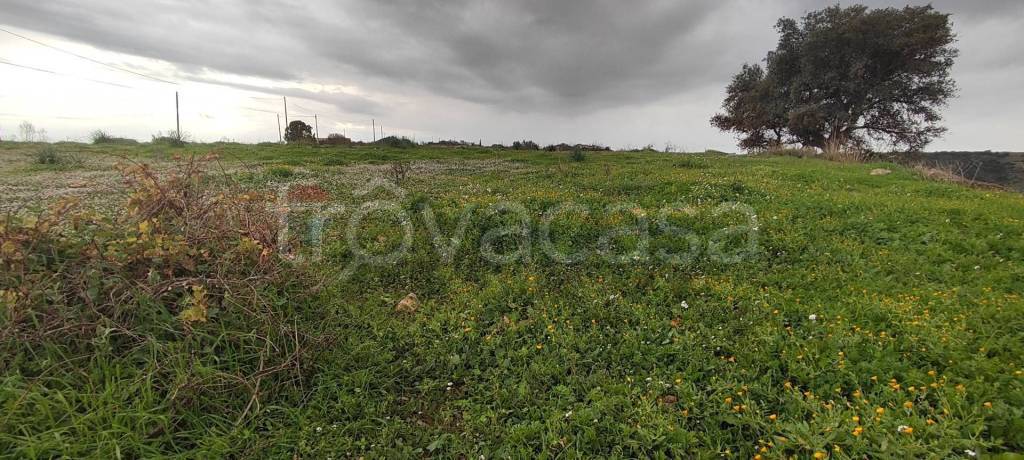 casa indipendente in vendita a Caltagirone