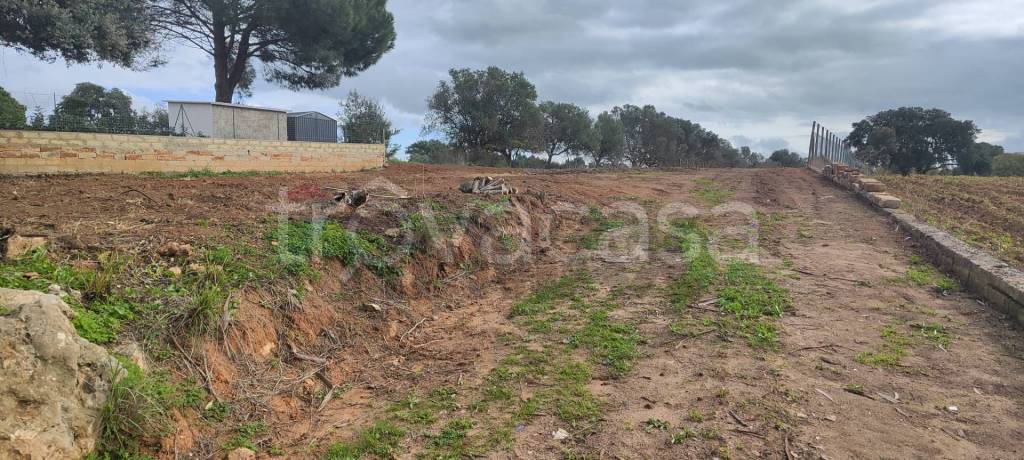 terreno agricolo in vendita a Caltagirone