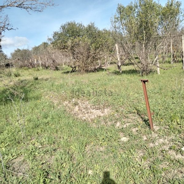 terreno agricolo in vendita a Caltagirone in zona Granieri