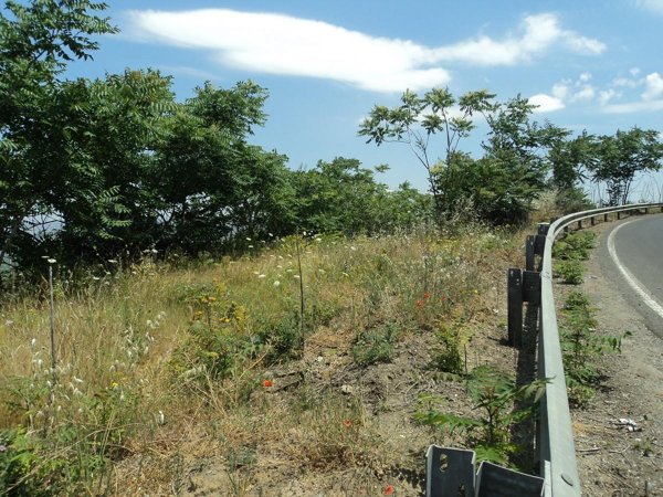 casa indipendente in vendita a Caltagirone