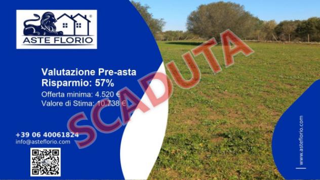 terreno agricolo in vendita a Caltagirone