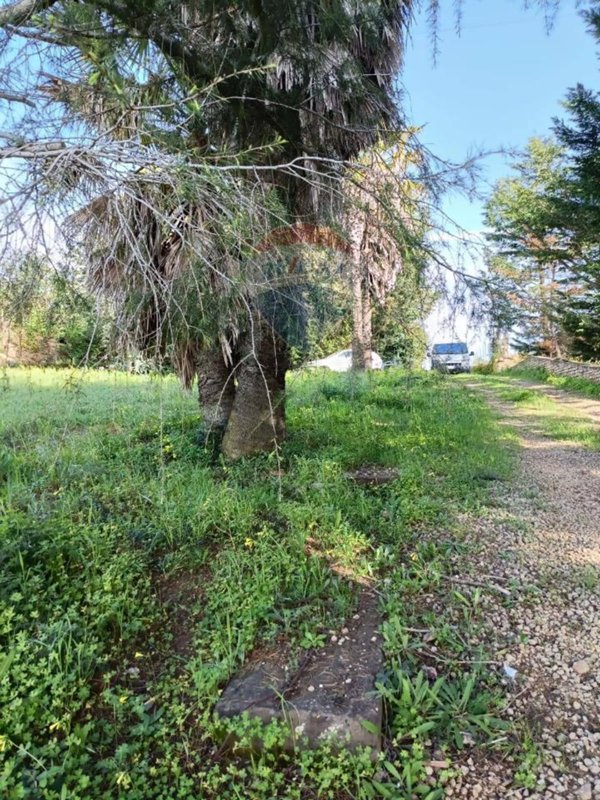 terreno agricolo in vendita a Caltagirone