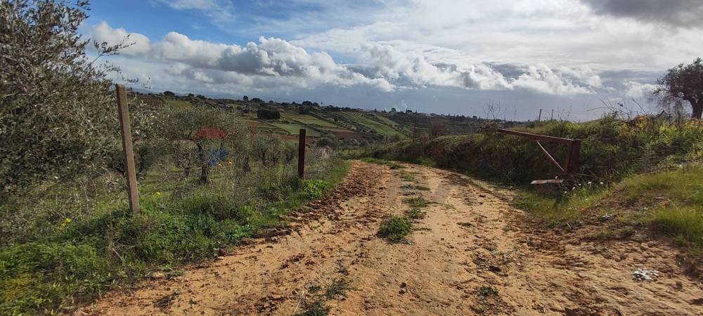 terreno agricolo in vendita a Caltagirone