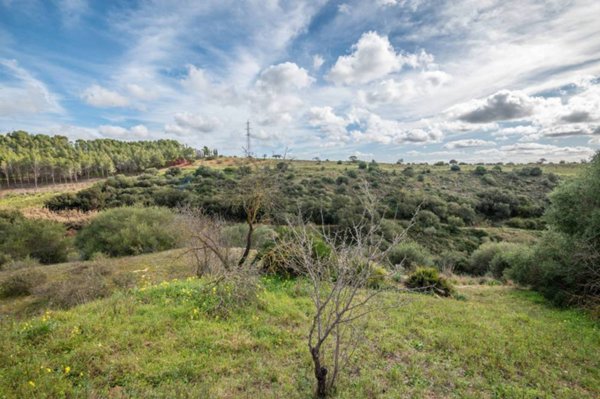 terreno agricolo in vendita a Caltagirone