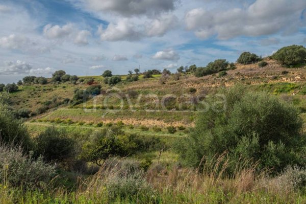 terreno agricolo in vendita a Caltagirone