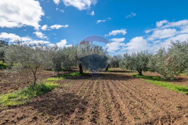 terreno agricolo in vendita a Caltagirone